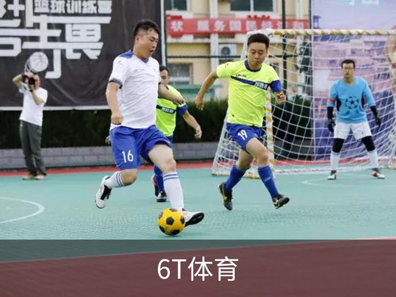 了解6T体育